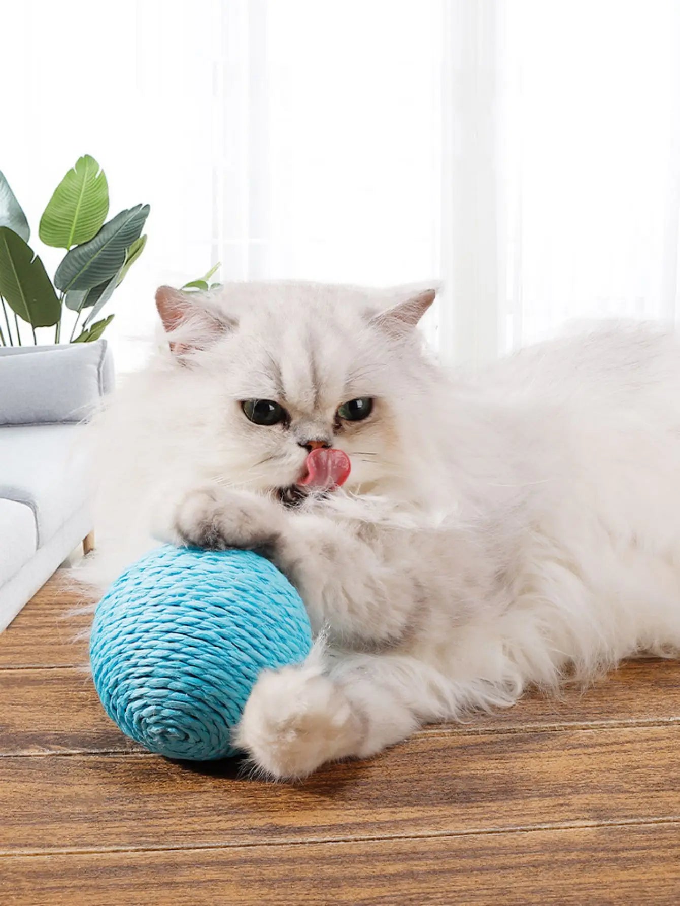 Sisal Scratching Ball - Cat Toy