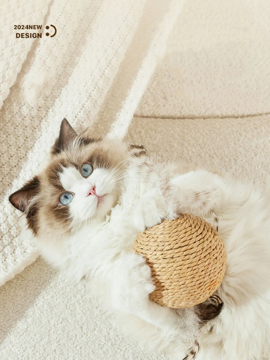 Sisal Scratching Ball - Cat Toy